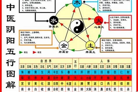 木鼠命|1984年属鼠的是什么命，84年出生的鼠五行属什么